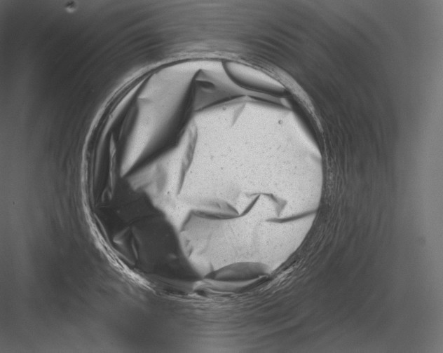 X0000082961096200702222333