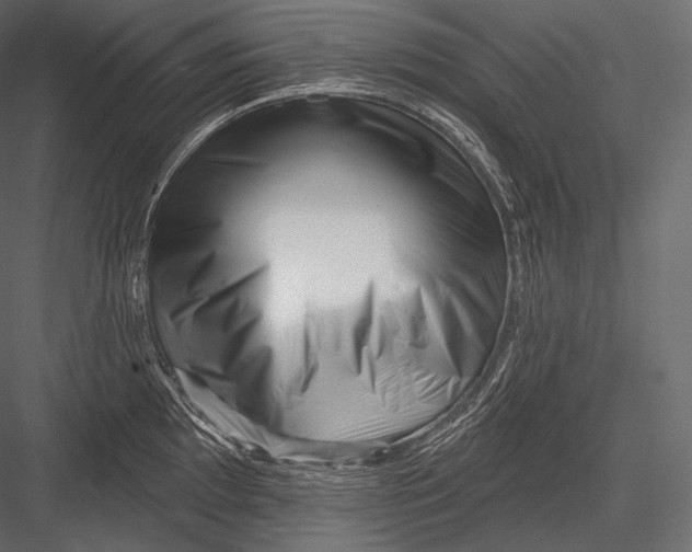 X0000082961097200702222333