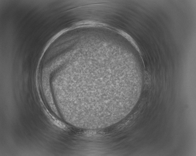 X0000082961098200702222333