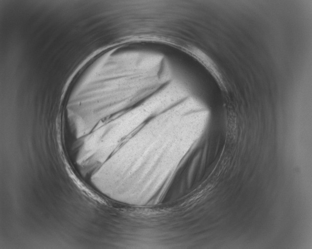 X0000082961100200702222333