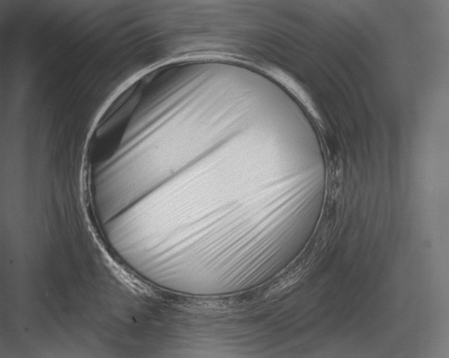 X0000082961101200702222333