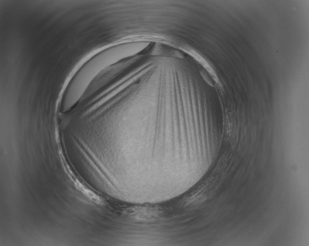 X0000082961102200702222333