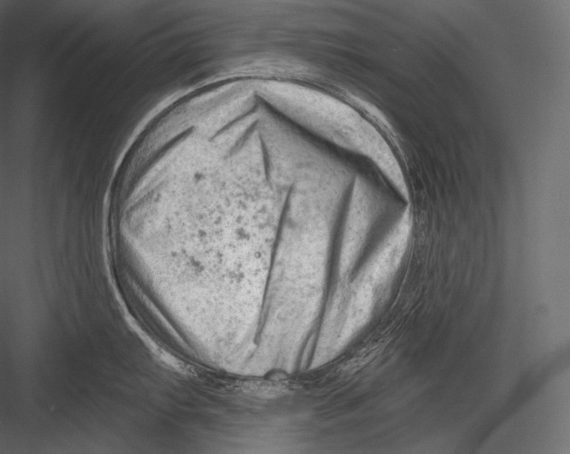 X0000082961103200702222333