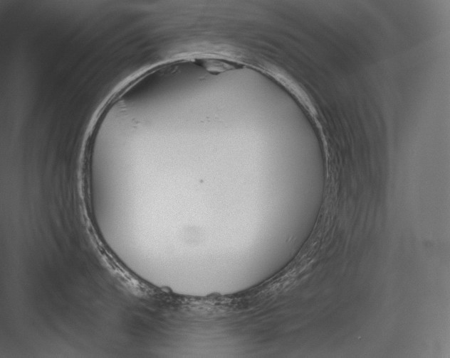 X0000082961104200702222333