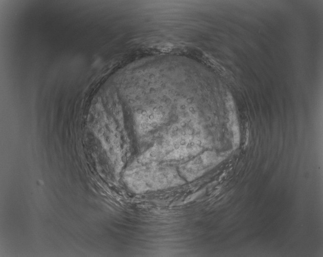 X0000082961105200702222332