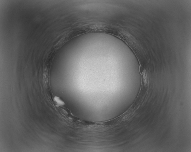 X0000082961107200702222332