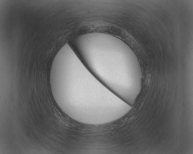 X0000082961108200702222332