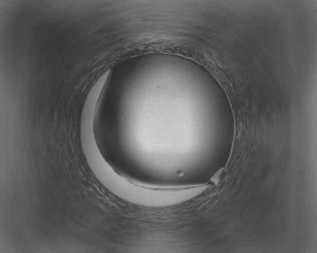 X0000082961109200702222332