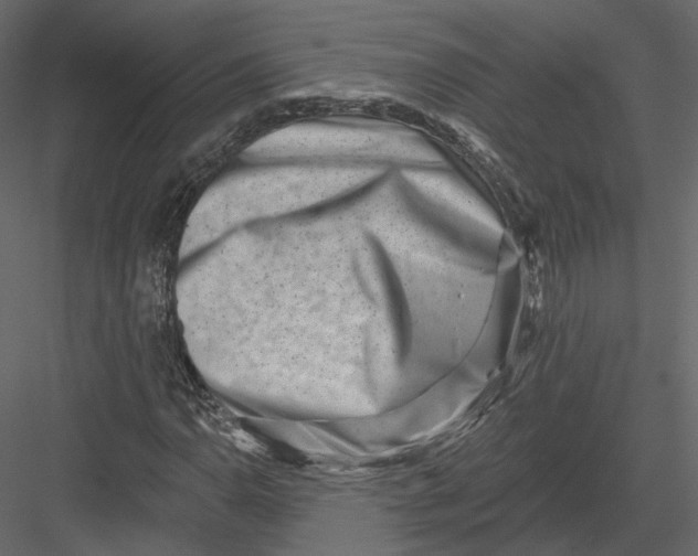 X0000082961110200702222332