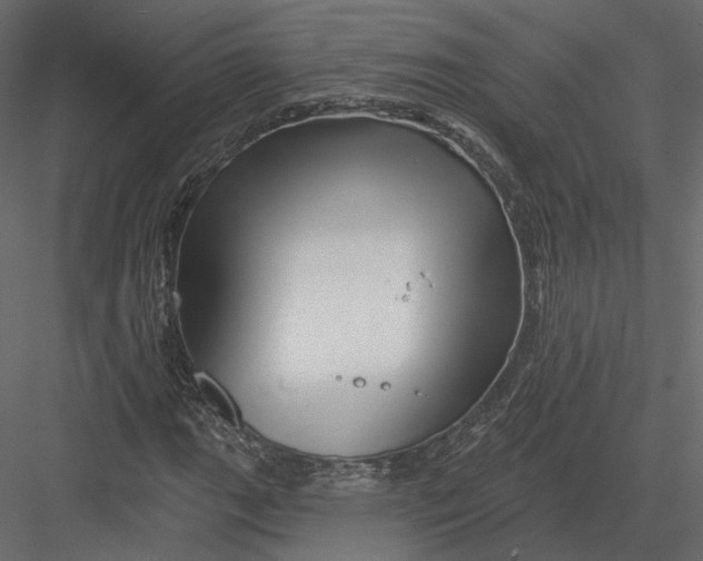 X0000082961111200702222332