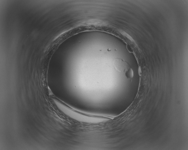 X0000082961112200702222332