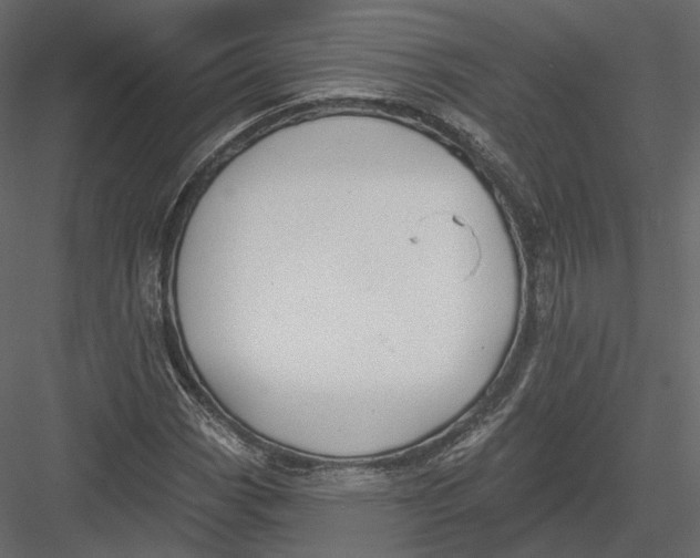 X0000082961113200702222332