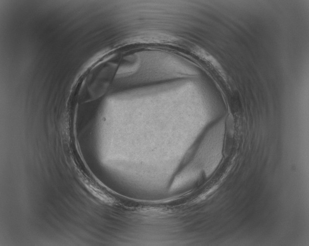 X0000082961114200702222332