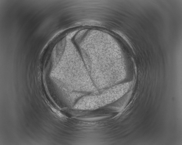 X0000082961115200702222332