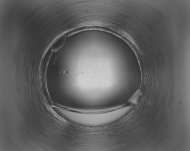 X0000082961116200702222332