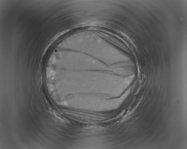 X0000082961117200702222332