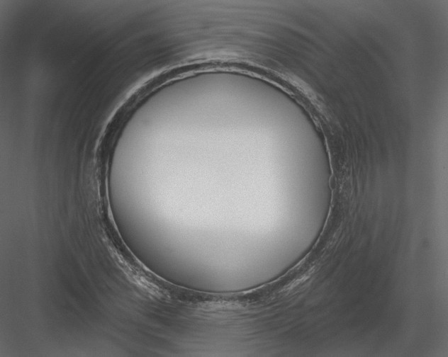 X0000082961118200702222332