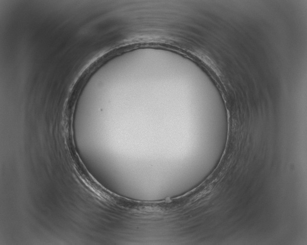 X0000082961119200702222333