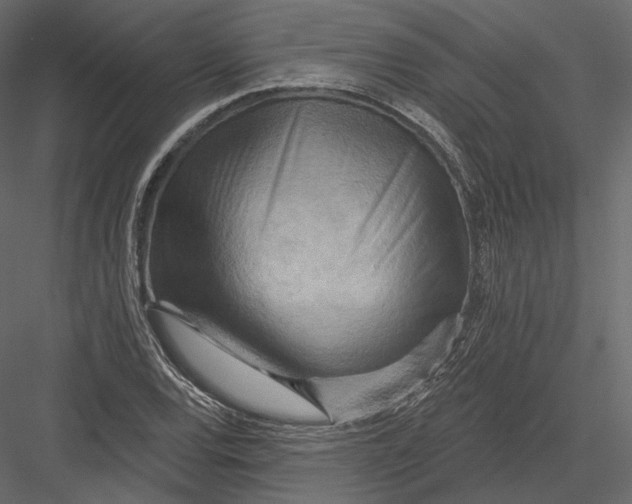 X0000082961120200702222333