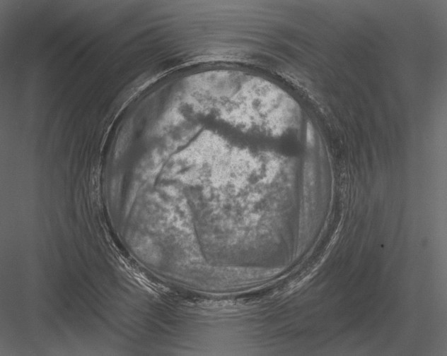 X0000082961121200702222333