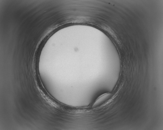 X0000082961122200702222333