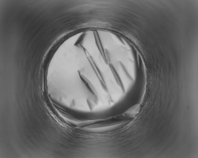 X0000082961123200702222333