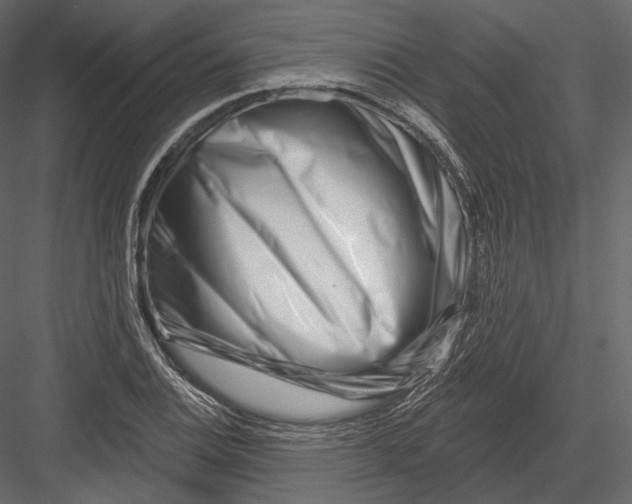 X0000082961124200702222333