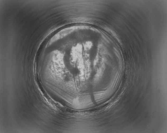 X0000082961125200702222333