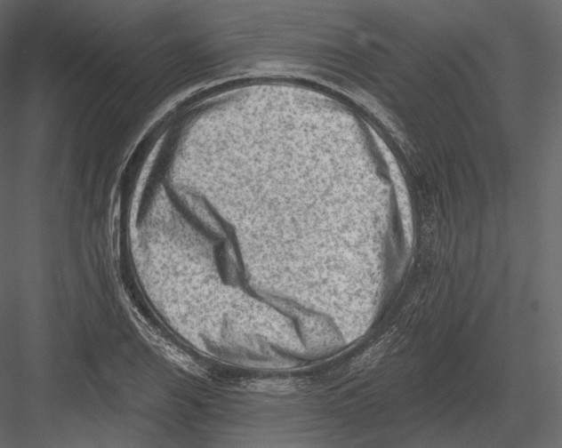 X0000082961126200702222333