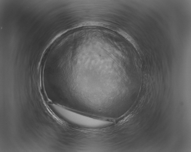 X0000082961127200702222333