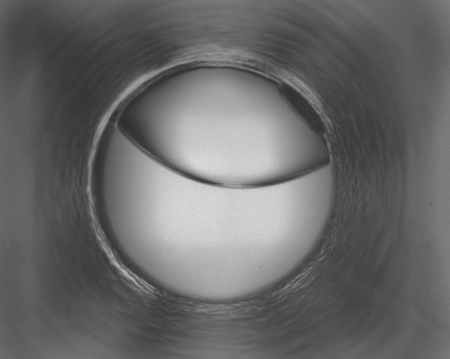 X0000082961128200702222333