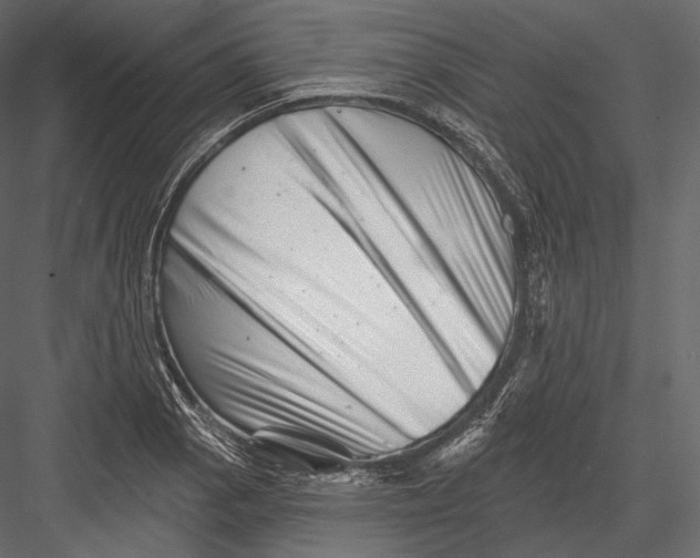 X0000082961129200702222333