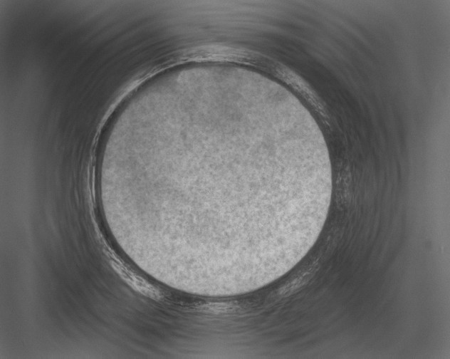 X0000082961130200702222333