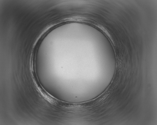 X0000082961131200702222333