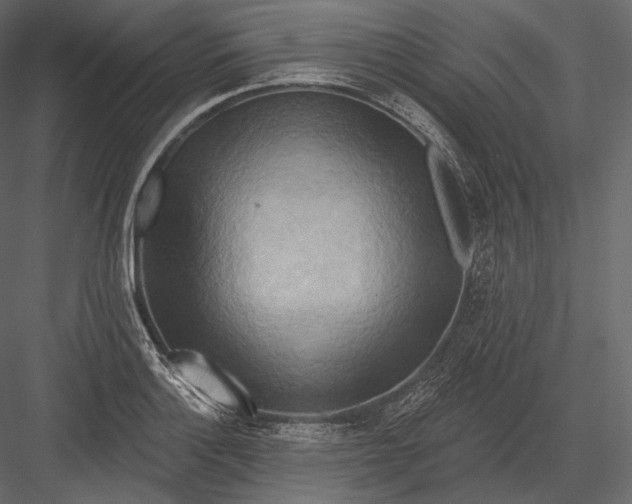 X0000082961132200702222333