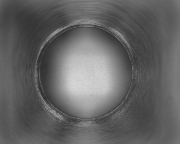 X0000082961133200702222333