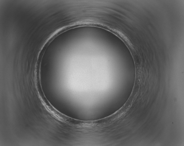 X0000082961134200702222333