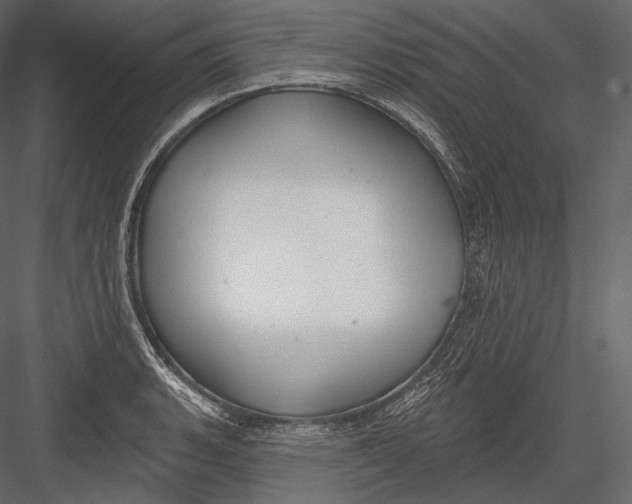 X0000082961135200702222333