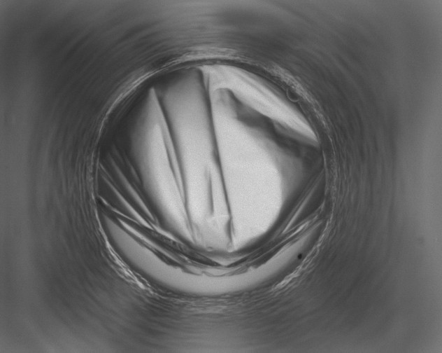 X0000082961137200702222333