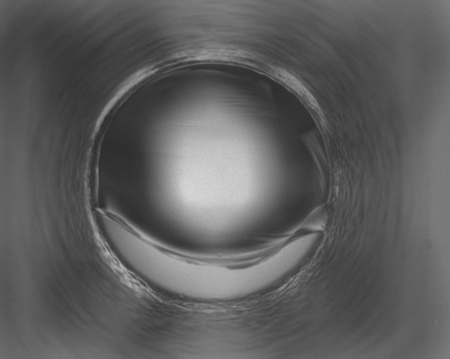 X0000082961138200702222333