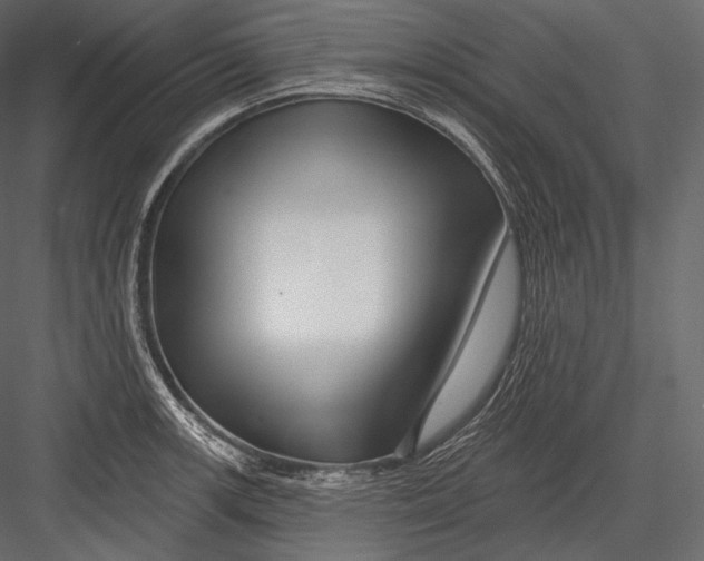 X0000082961139200702222333