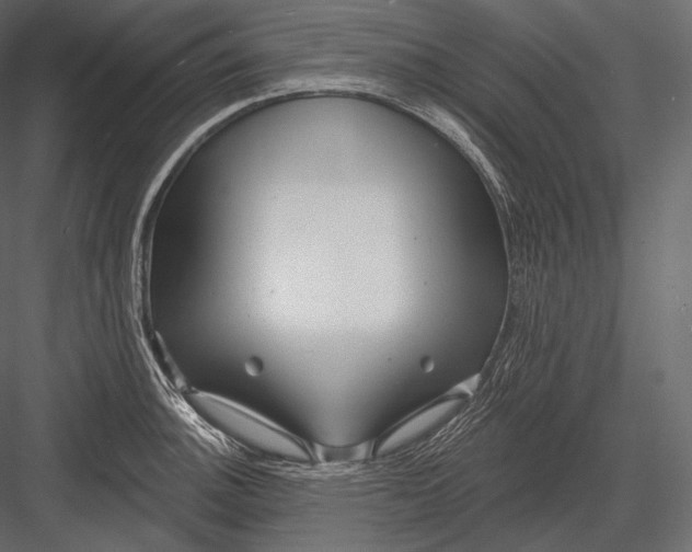 X0000082961140200702222333