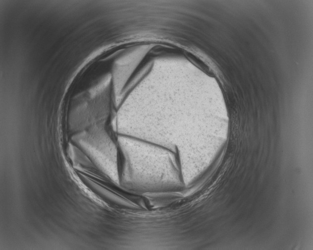 X0000082961142200702222333