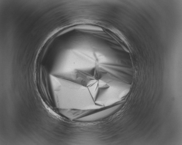 X0000082961143200702222333