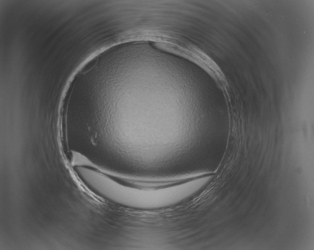 X0000082961144200702222333