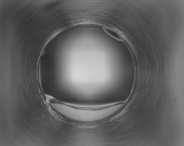 X0000082961145200702222333