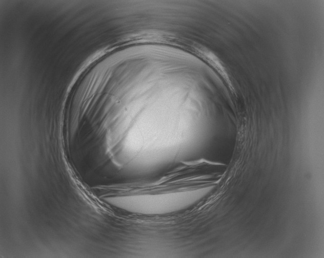 X0000082961146200702222333