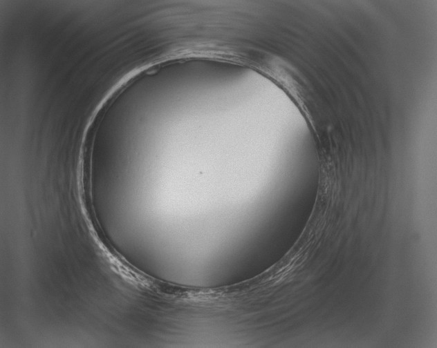 X0000082961147200702222333