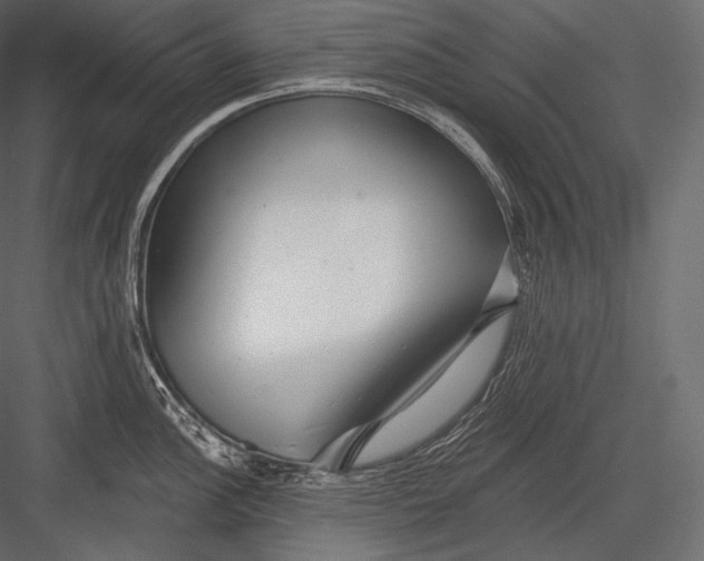 X0000082961148200702222333