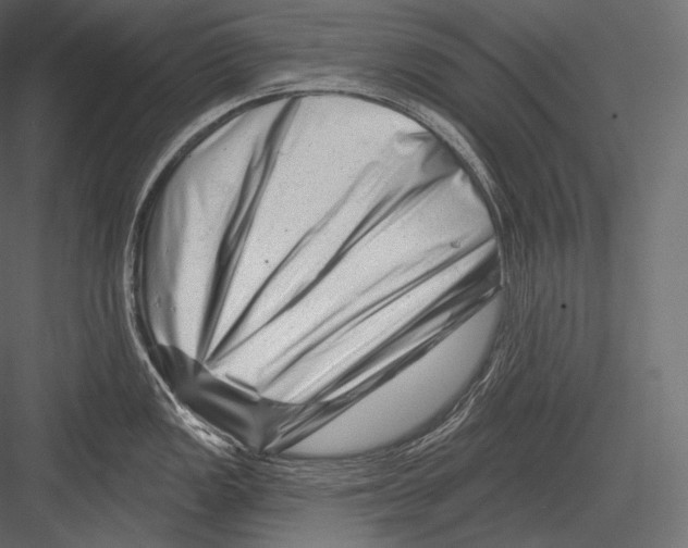 X0000082961149200702222333